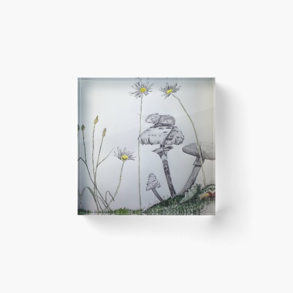 Item preview, Timid Place designed and sold by pastorwes.