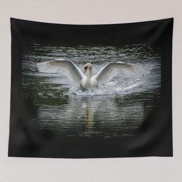 Item preview, A beautiful swan designed and sold by cmphotographs.