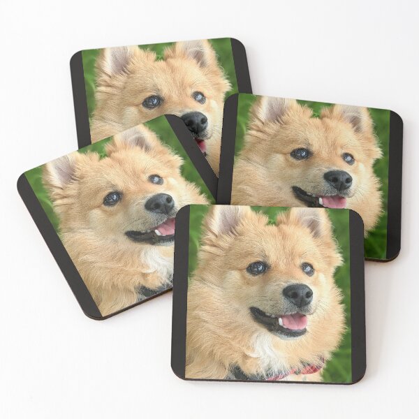 Item preview, Kai the Pomeranian puppy designed and sold by Fluffycat2020.