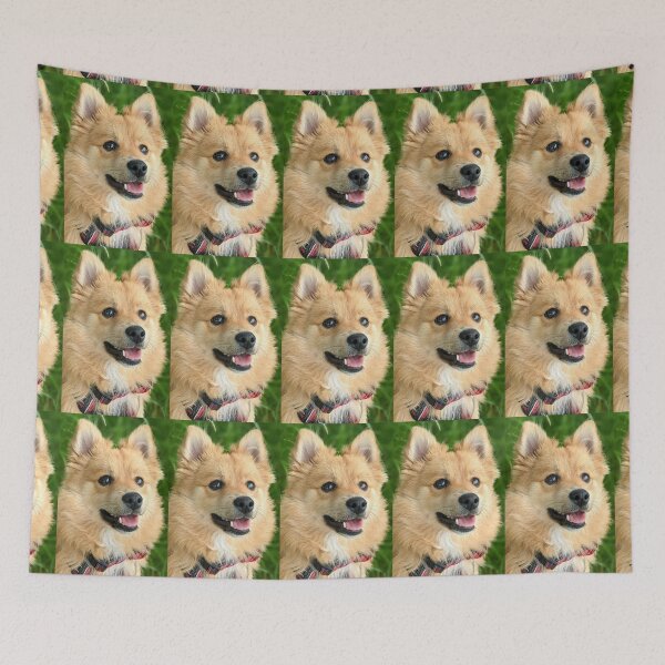 Item preview, Kai the Pomeranian puppy designed and sold by Fluffycat2020.