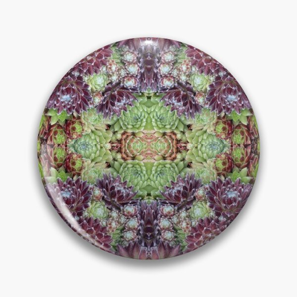 Item preview, A Swarm of Sempervivums designed and sold by MillaFlora.
