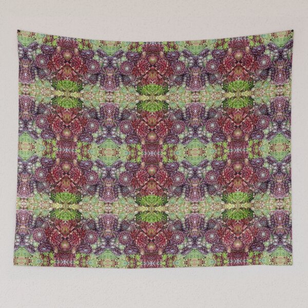 Item preview, A Swarm of Sempervivums designed and sold by MillaFlora.