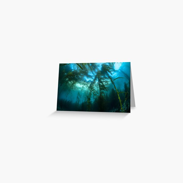 California Kelp Greeting Card