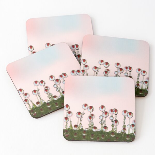 Item preview, Sundew Drops designed and sold by SharonJ.