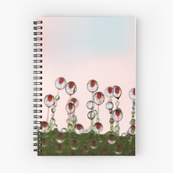 Item preview, Sundew Drops designed and sold by SharonJ.