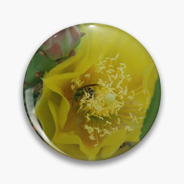 Item preview, Yellow Cactus Flower with a Green New York Sweat Bee in it designed and sold by Hether McCuistion.