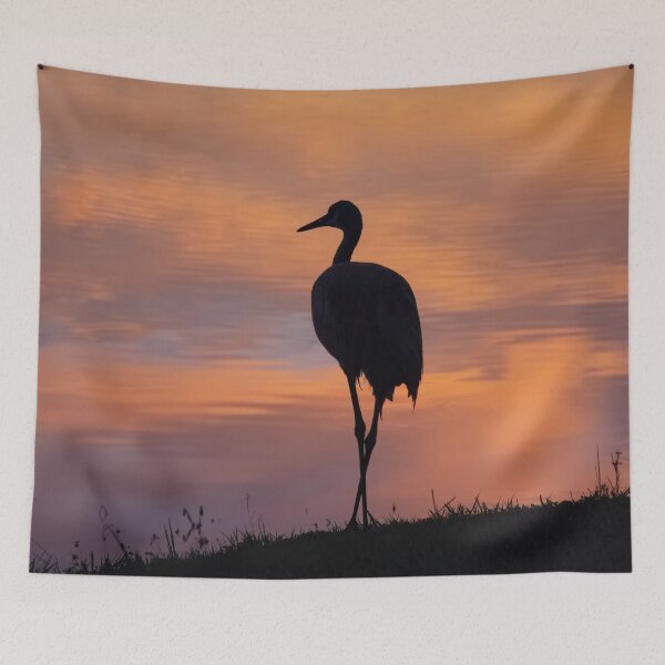 Item preview, Sandhill crane silhouette at sunset designed and sold by Zina Stromberg.