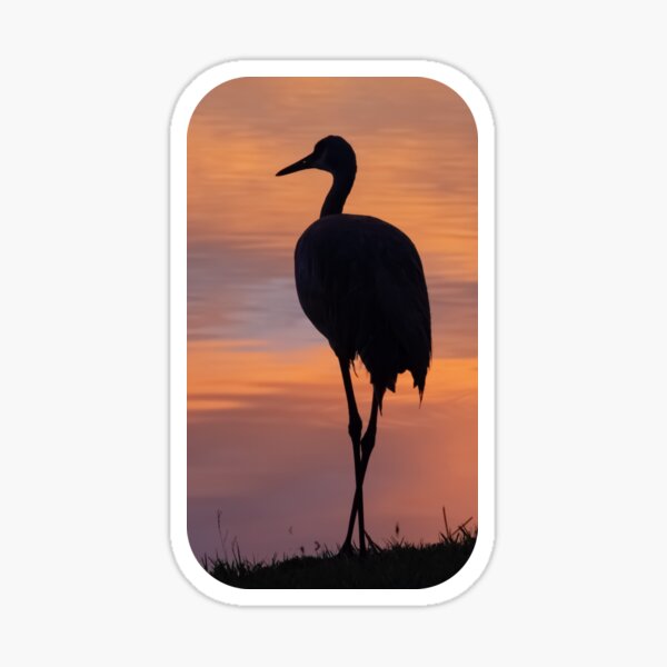 Item preview, Sandhill crane silhouette at sunset designed and sold by Zina Stromberg.