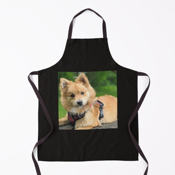 Item preview, Kai the Pomeranian puppy designed and sold by Fluffycat2020.