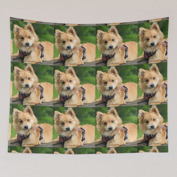 Item preview, Kai the Pomeranian puppy designed and sold by Fluffycat2020.