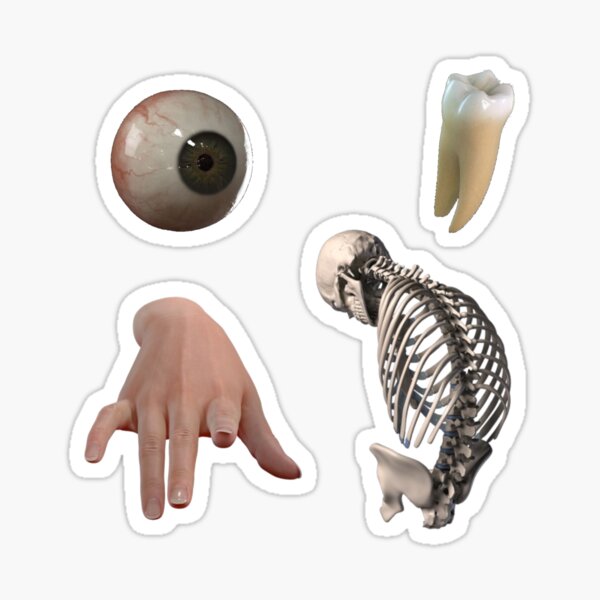 Weirdcore Body Sticker Pack Sticker