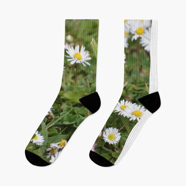 Item preview, Daisies 3 designed and sold by Meggie-moos.