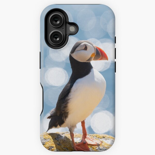 Item preview, Atlantic Puffin portrait designed and sold by Kay Roxby.