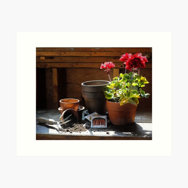 Potting Shed Art Print