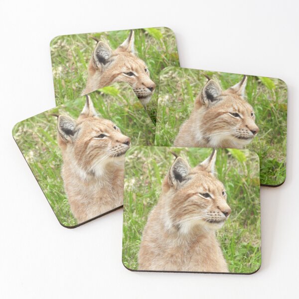 Item preview, A Fabulous European Lynx  designed and sold by Karen Thomson.