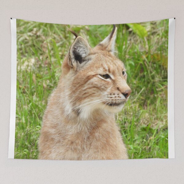 Item preview, A Fabulous European Lynx  designed and sold by Karen Thomson.