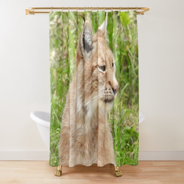 Item preview, A Fabulous European Lynx  designed and sold by Karen Thomson.