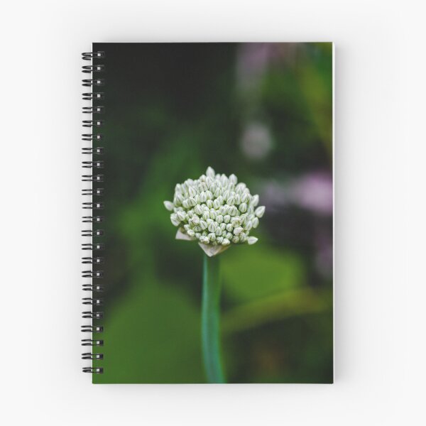 Item preview, Fresh Shallot designed and sold by SRosuphotos.