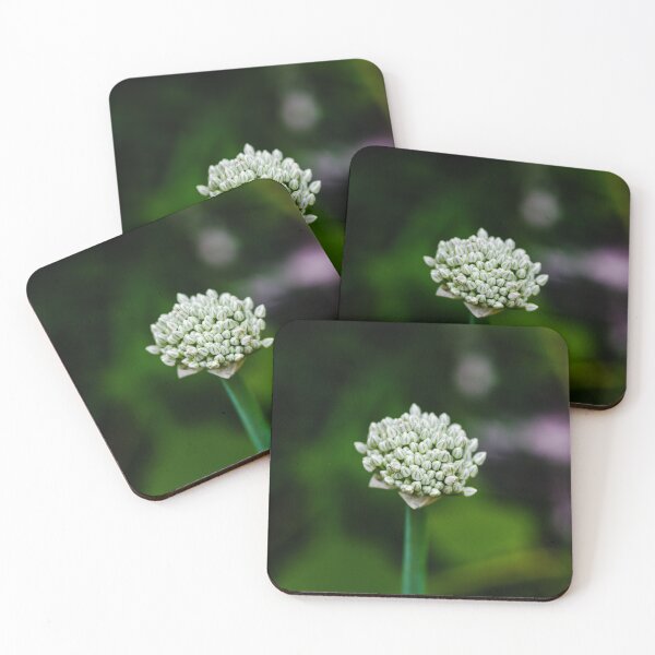 Item preview, Fresh Shallot designed and sold by SRosuphotos.