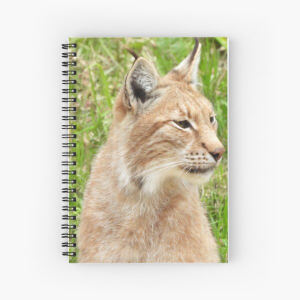 Item preview, A Fabulous European Lynx  designed and sold by Karen Thomson.