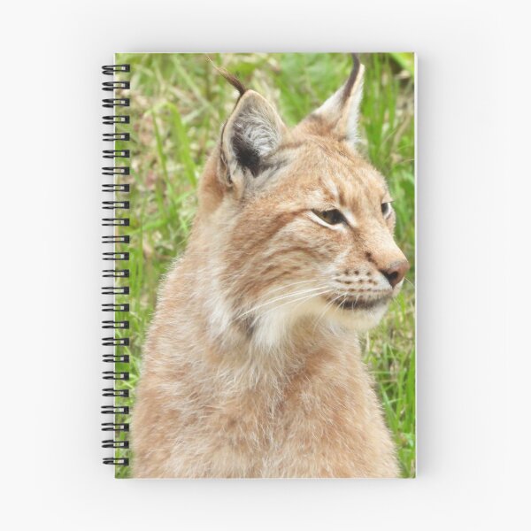 Item preview, A Fabulous European Lynx  designed and sold by Karen Thomson.