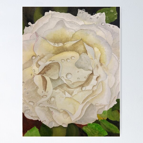 Greek Rose Poster