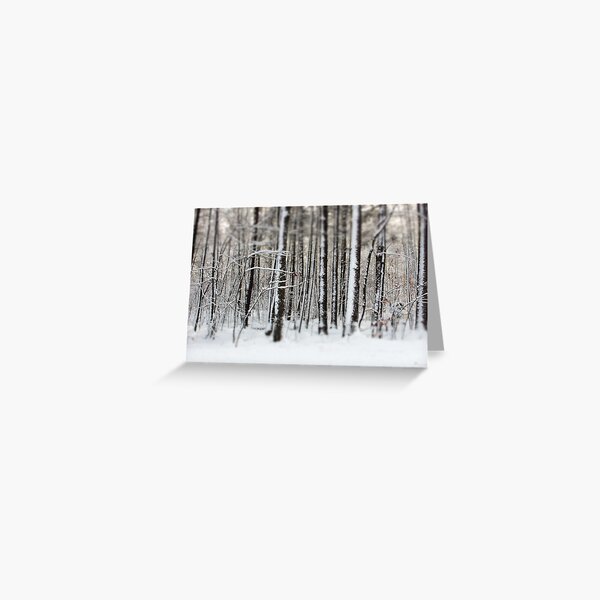 Snowy Woods Greeting Card