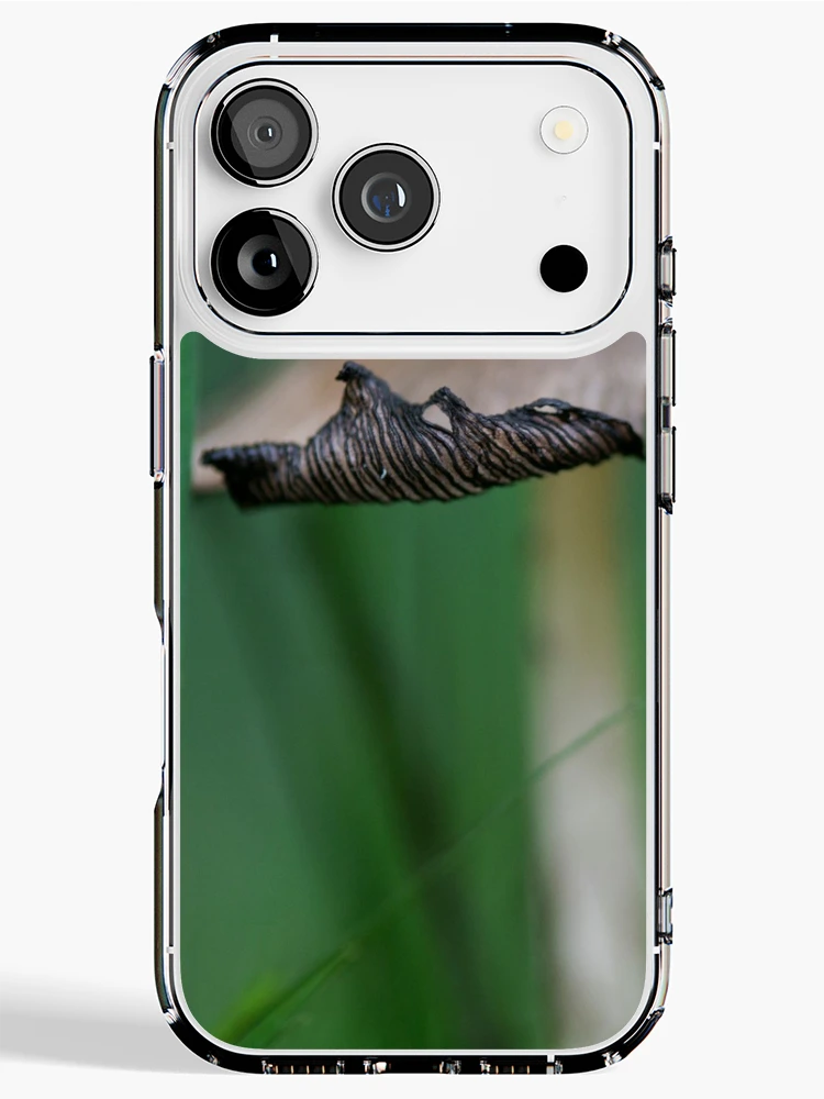 Thumbnail 1 of 5, iPhone Case, Toadstool designed and sold by Debra Carmichael.