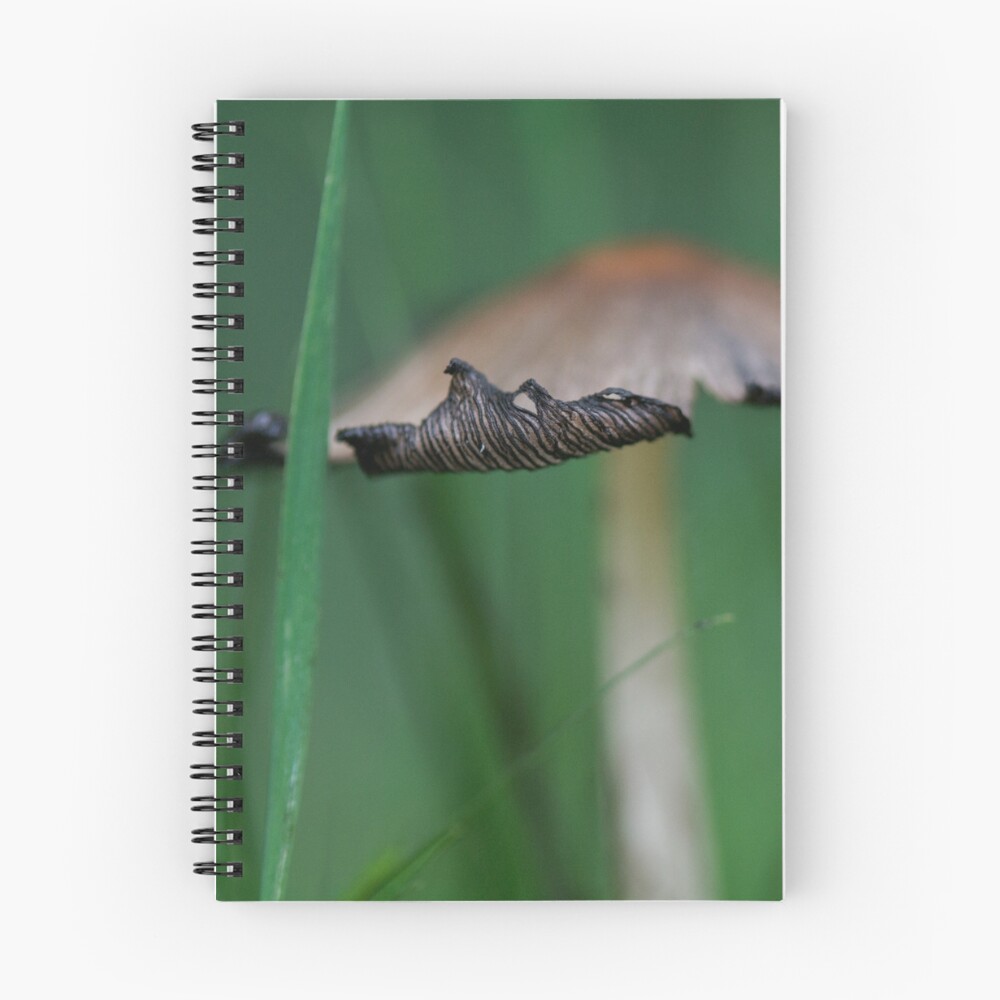 Item preview, Spiral Notebook designed and sold by Debra Carmichael.