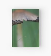 Toadstool Hardcover Journal