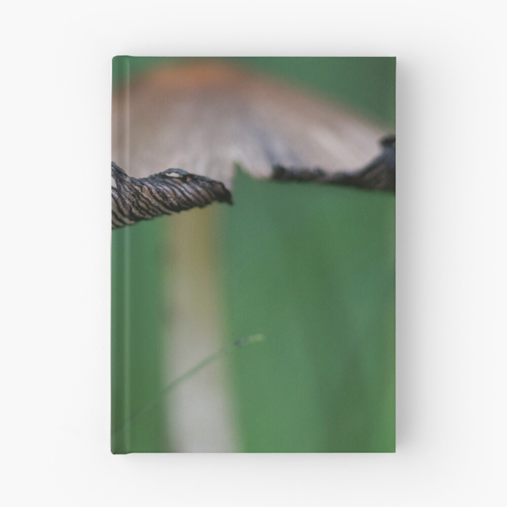 Item preview, Hardcover Journal designed and sold by Debra Carmichael.