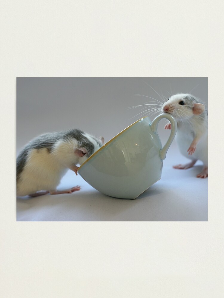 Alternate view of Coffee-time Photographic Print