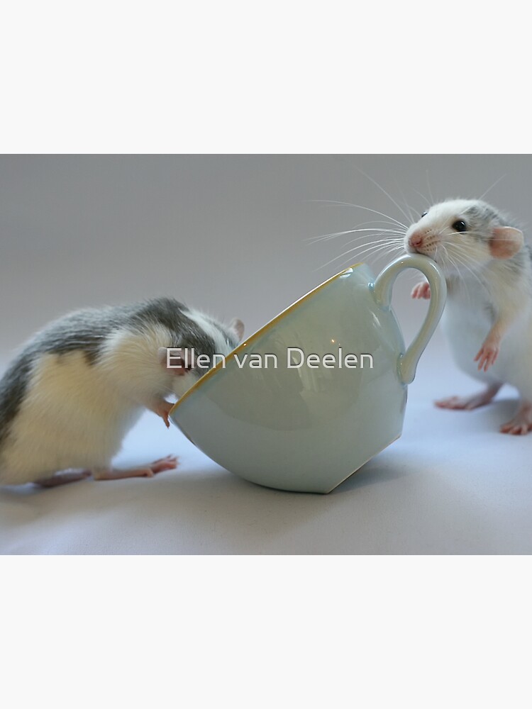 Coffee-time by Ellen