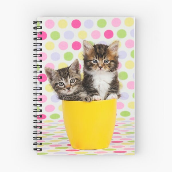 Item preview, Cute kittens sitting in a cup designed and sold by ArdeaOnline.