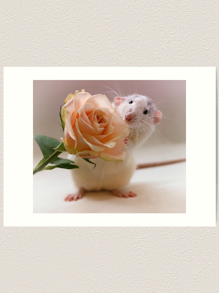Alternate view of A rose for you... Art Print