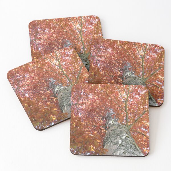 Item preview, Looking Up Into the Trees - 1 designed and sold by Monica-Stroud.