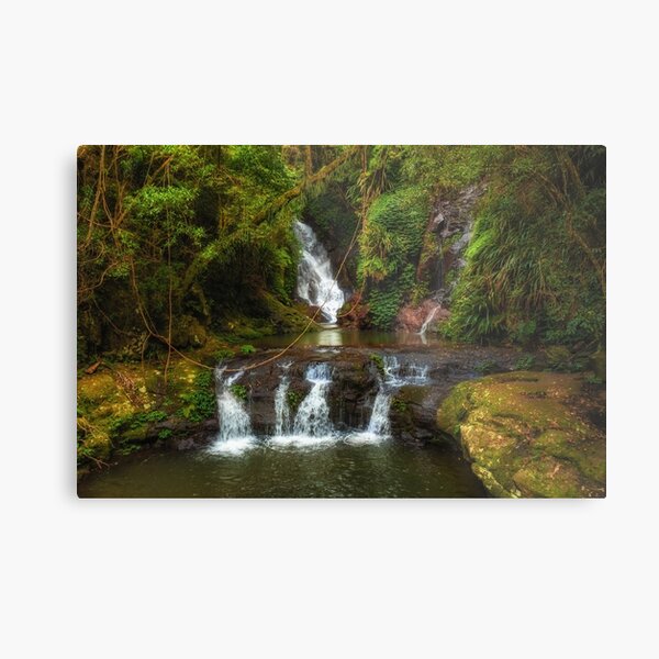 Item preview, Elabana Falls, Lamington National Park designed and sold by slonchak.