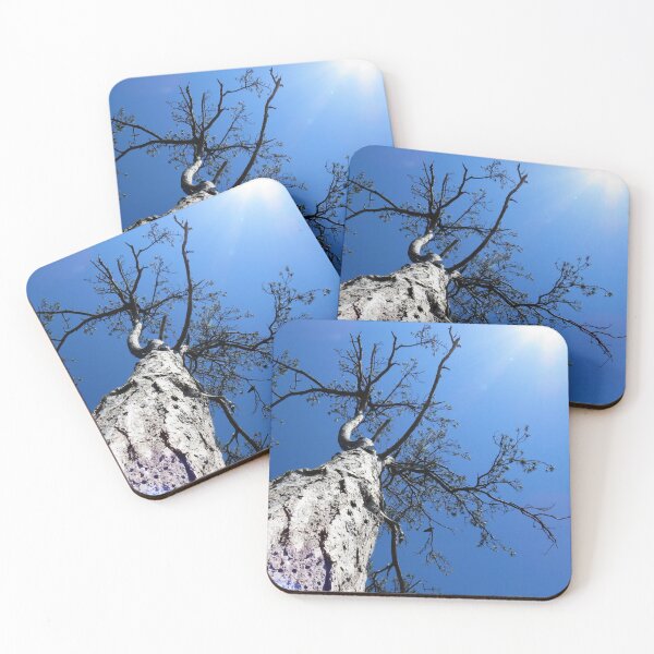 Item preview, Looking Up Into Trees - 2 designed and sold by Monica-Stroud.