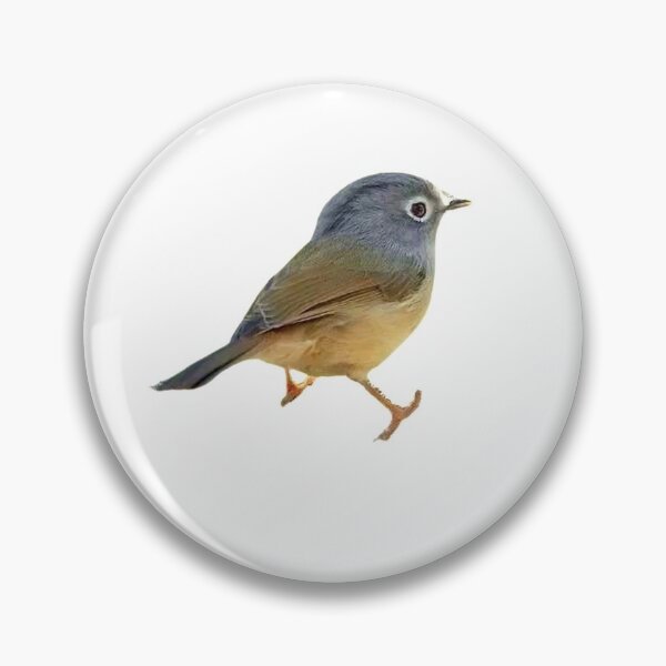 Item preview, The thrush is about 24 cm long. The upper body is olive-brown, with brown axial lines on the head and upper back designed and sold by zenger2021.