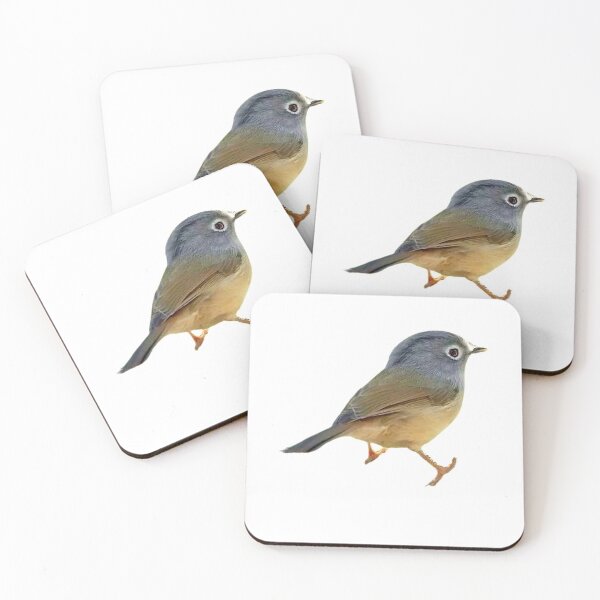 Item preview, The thrush is about 24 cm long. The upper body is olive-brown, with brown axial lines on the head and upper back designed and sold by zenger2021.