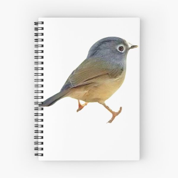 Item preview, The thrush is about 24 cm long. The upper body is olive-brown, with brown axial lines on the head and upper back designed and sold by zenger2021.