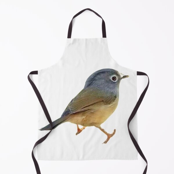 Item preview, The thrush is about 24 cm long. The upper body is olive-brown, with brown axial lines on the head and upper back designed and sold by zenger2021.