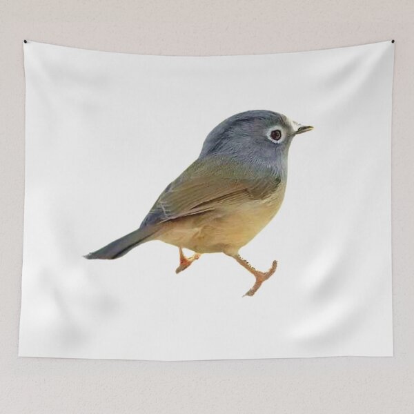 Item preview, The thrush is about 24 cm long. The upper body is olive-brown, with brown axial lines on the head and upper back designed and sold by zenger2021.