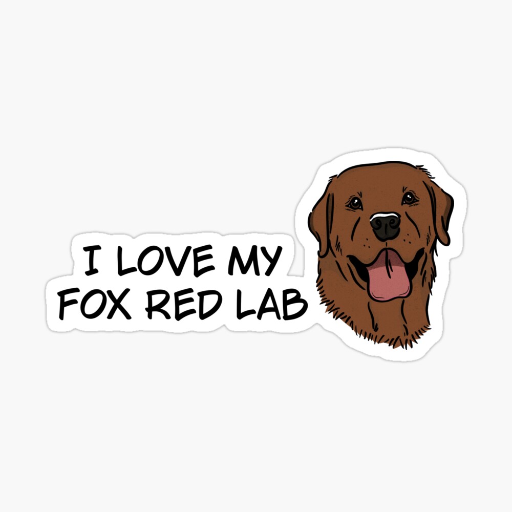 I Love My Fox Red Labrador Magnet For Sale By Rmcbuckeye Redbubble