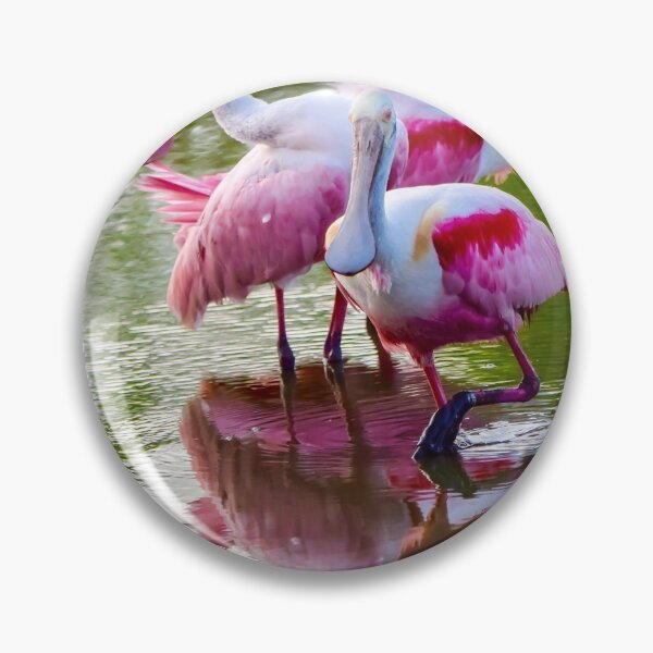 Item preview, Three Roseate Spoonbills  designed and sold by SwampPrincess11.