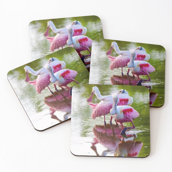 Item preview, Three Roseate Spoonbills  designed and sold by SwampPrincess11.