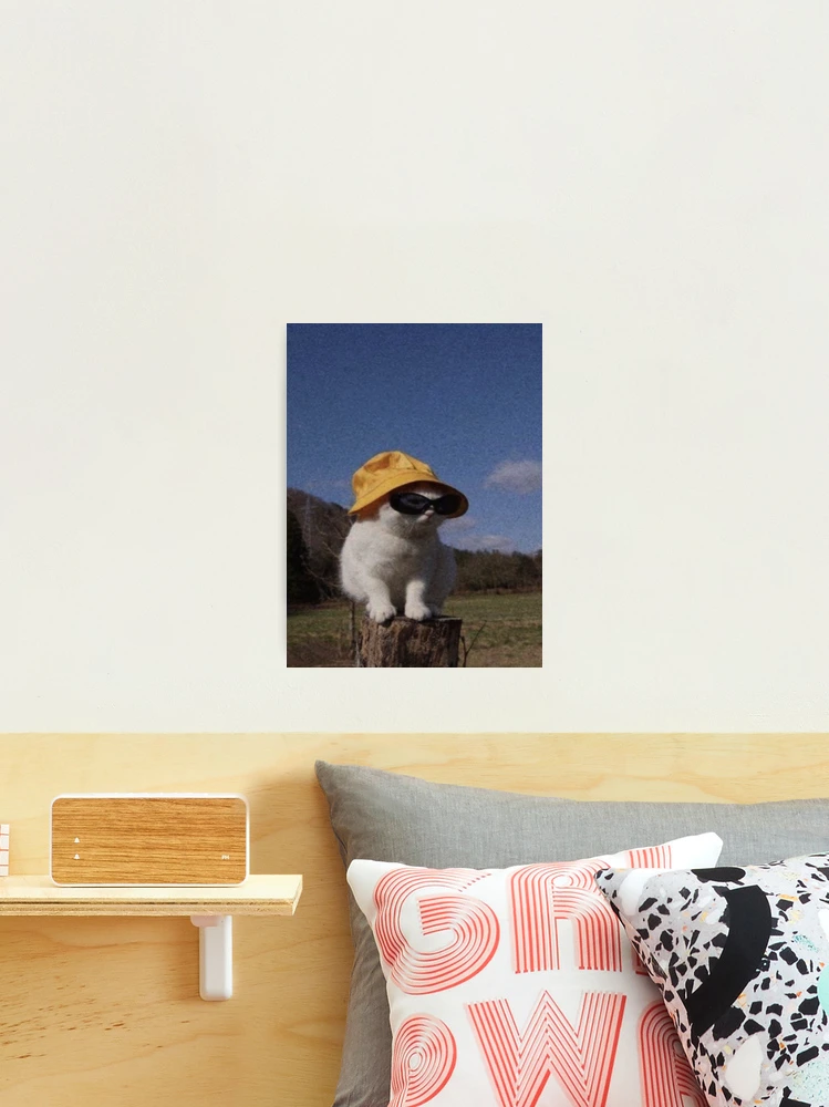 bucket hat cat  Poster for Sale by aloha-designs