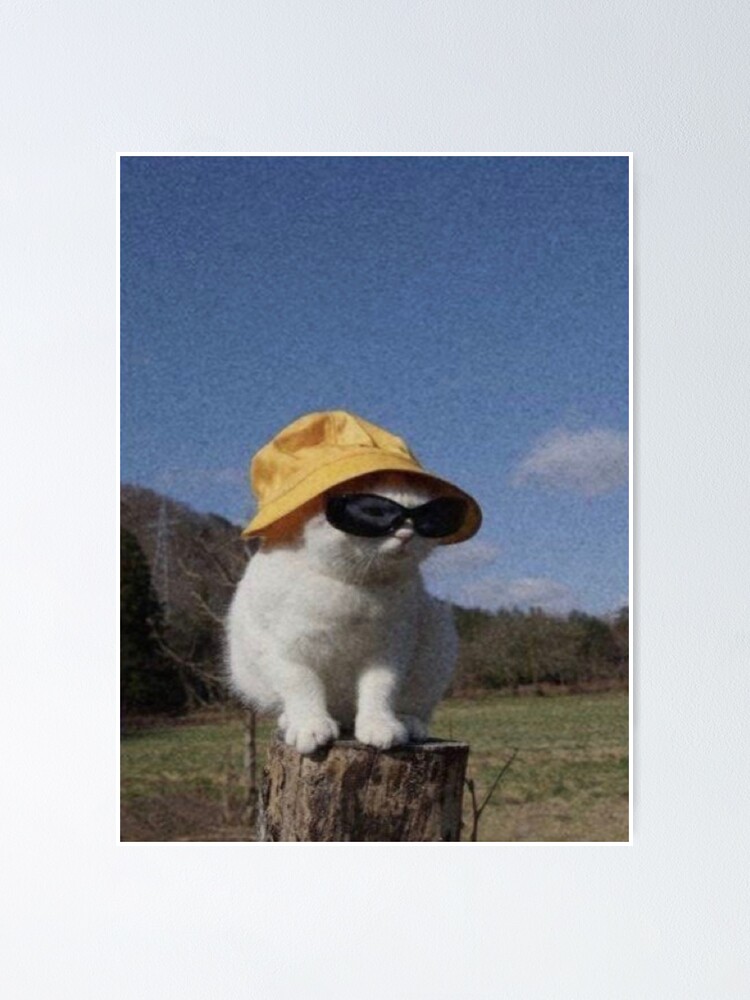 bucket hat cat  Poster for Sale by aloha-designs