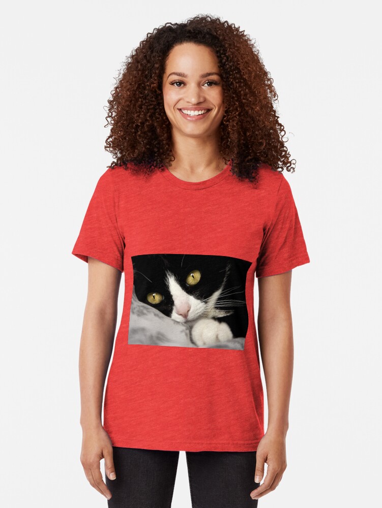 Alternate view of cat Tri-blend T-Shirt