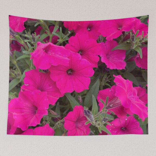 Item preview, Pink Petunias designed and sold by KCook1465.